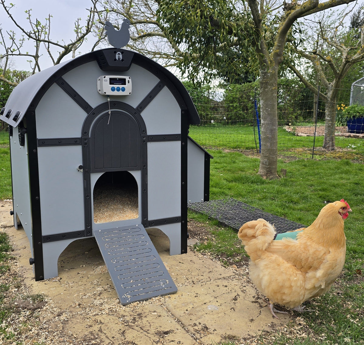 ChickenGuard Barn Chicken Coop with Pro Automatic Door Opener