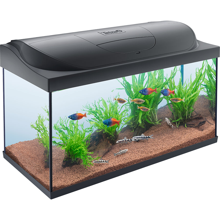 Modern Glass Aquarium Fish Tank with Hood Black