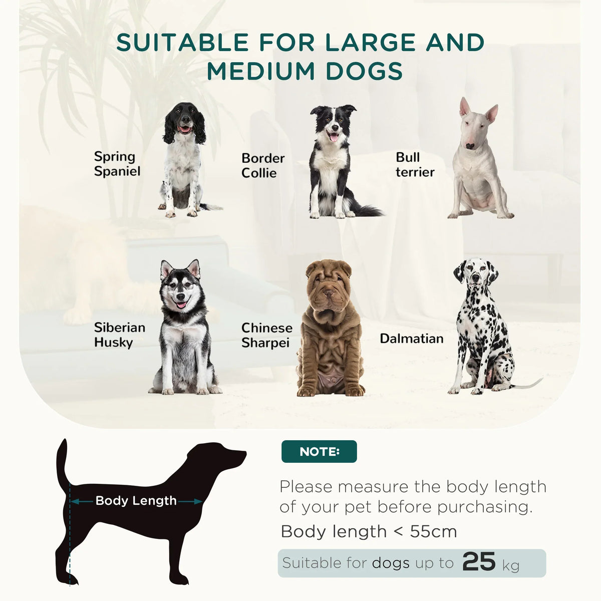 Elevated Dog Sofa Bed with Cushion Green