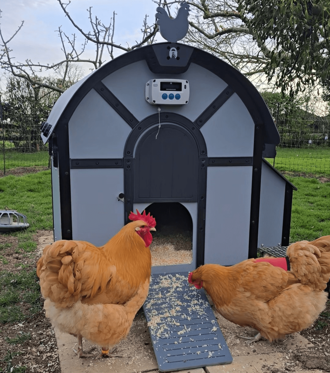 ChickenGuard Barn Chicken Coop with Pro Automatic Door Opener