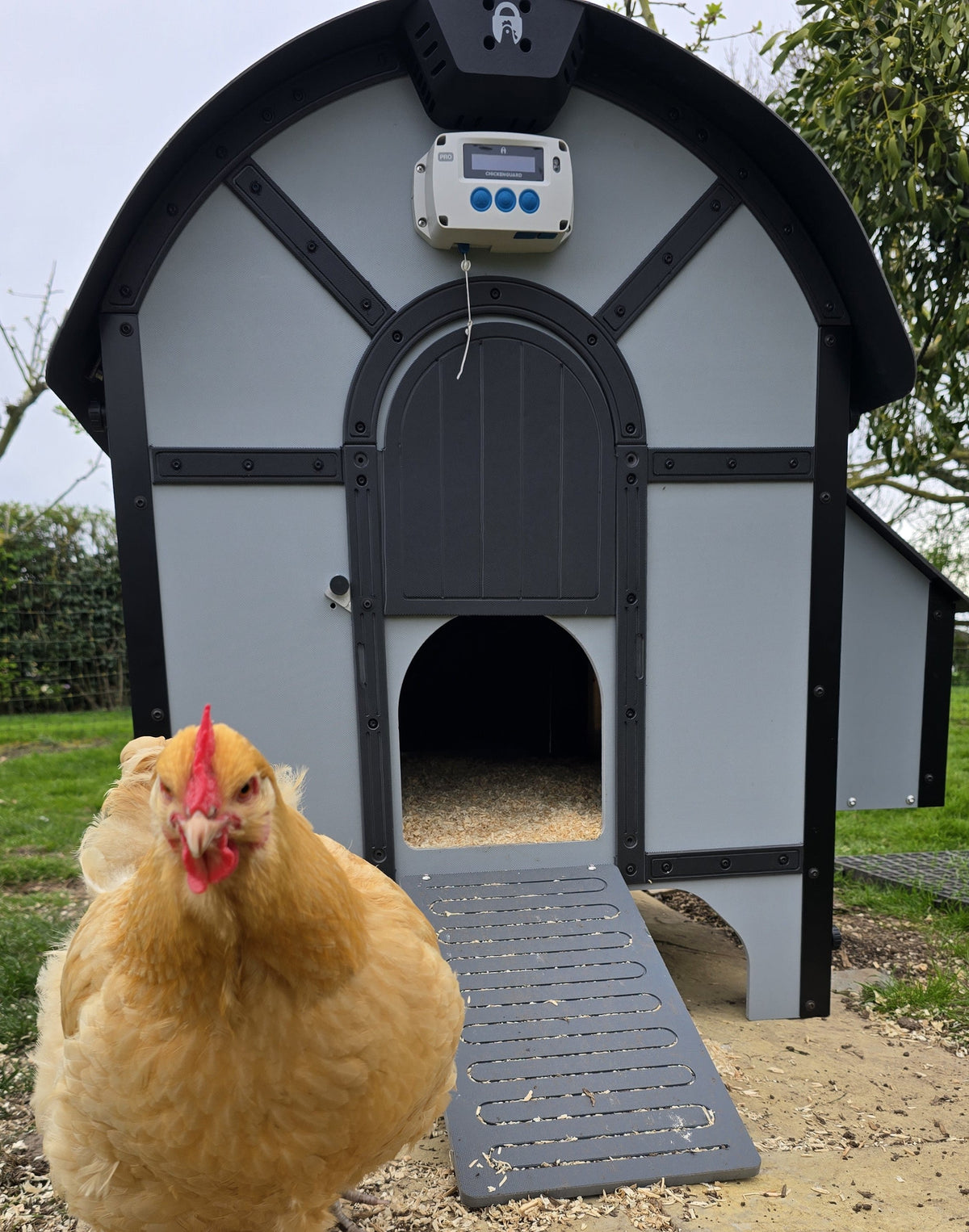 ChickenGuard Barn Chicken Coop with Pro Automatic Door Opener