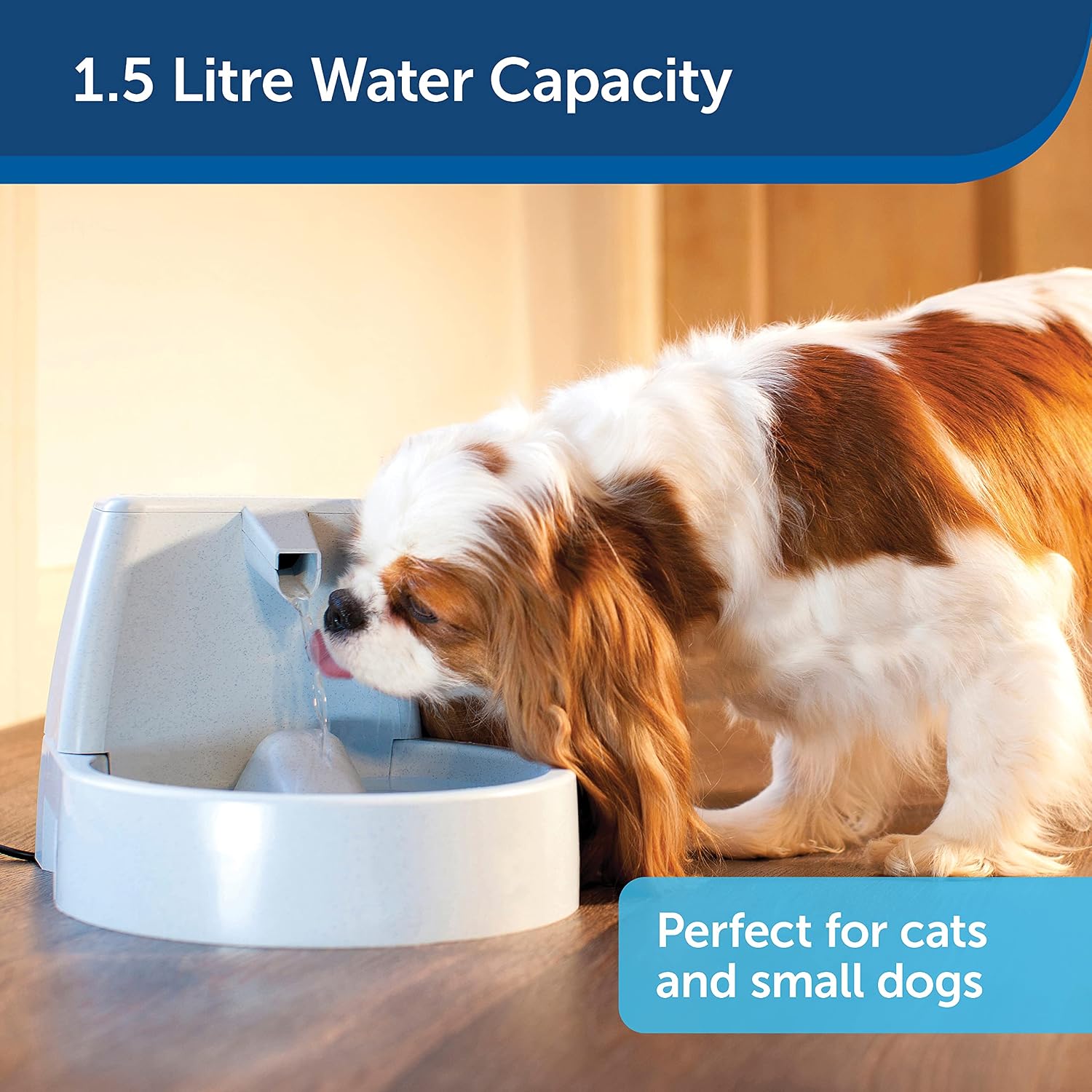 PetSafe Drinkwell 1.5L water fountain for cats and small dogs