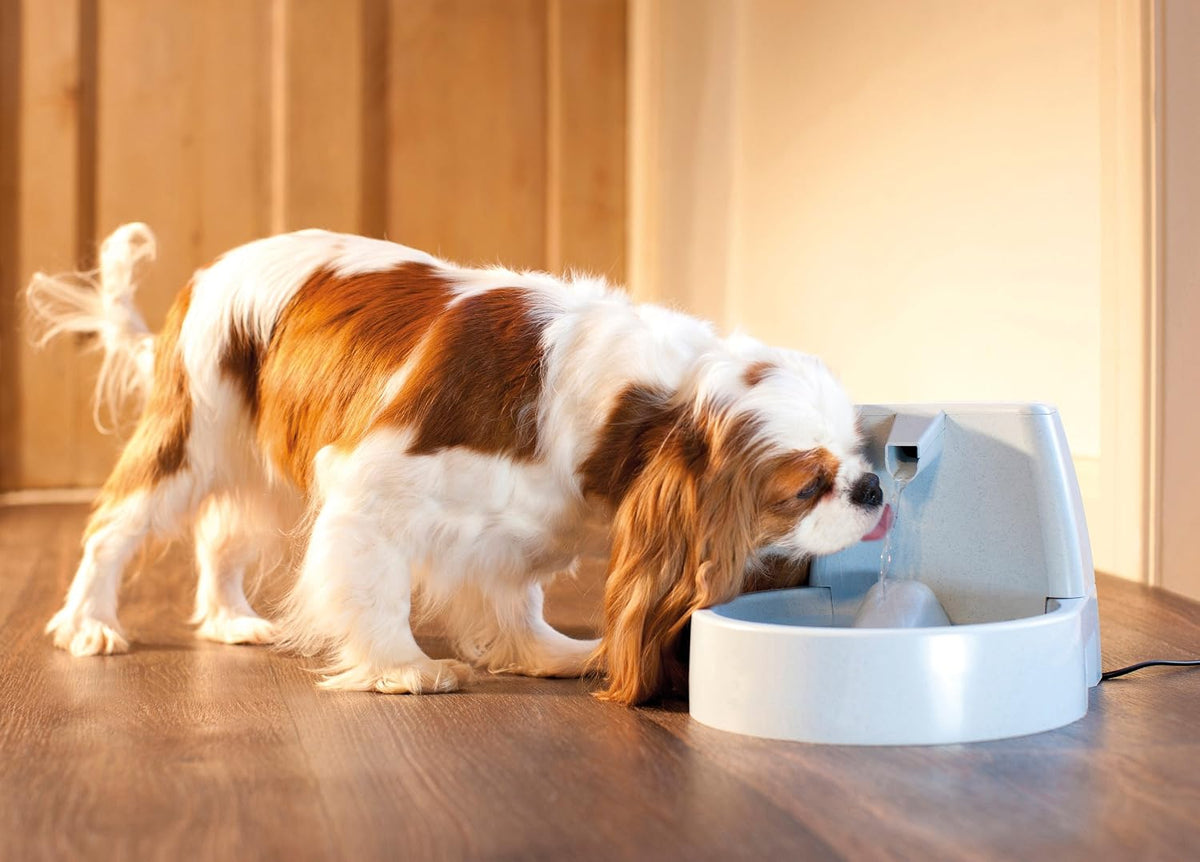 PetSafe Drinkwell 1.5L Pet Water Fountain for Cats & Small Dogs