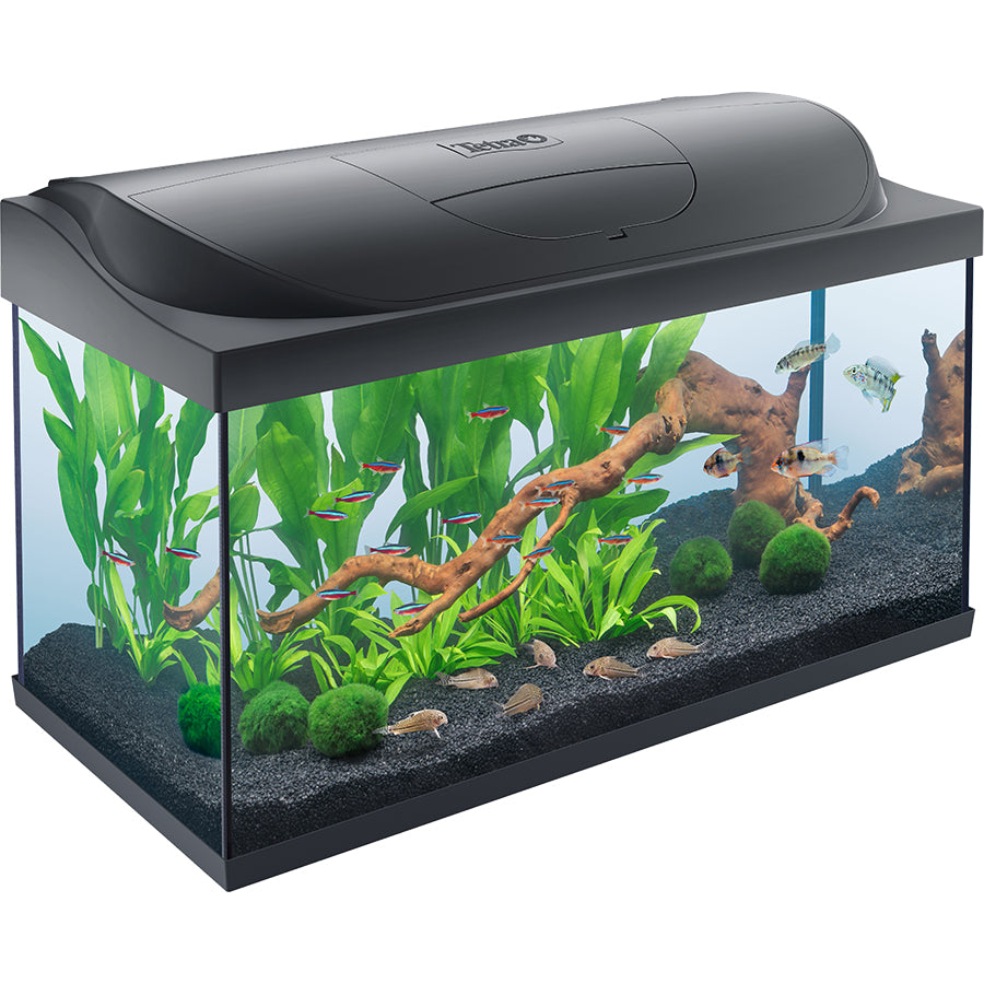 Modern Glass Aquarium Fish Tank with Hood Black
