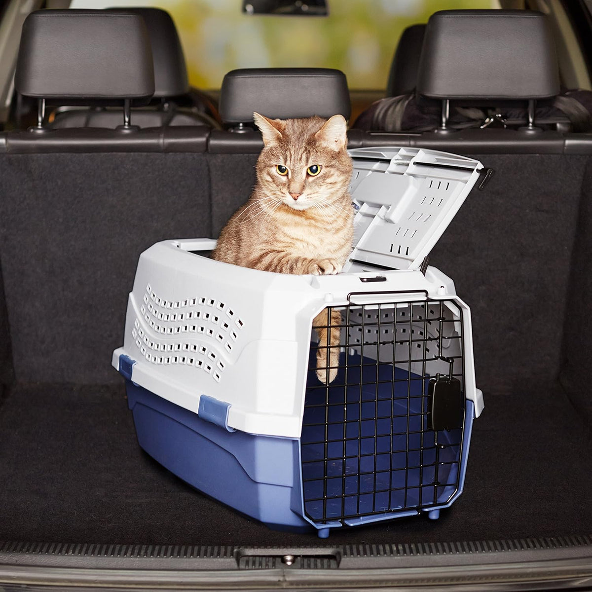 Hard-Sided Pet Carrier with Ventilation & Metal Door