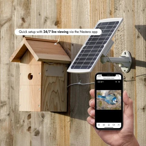 Solar Powered WiFi Bird Box Camera with Live Viewing