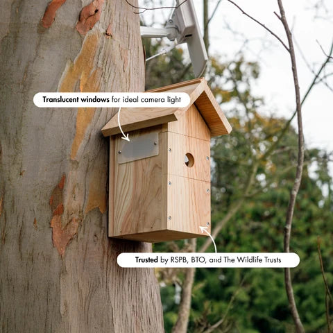 Solar Powered WiFi Bird Box Camera with Live Viewing