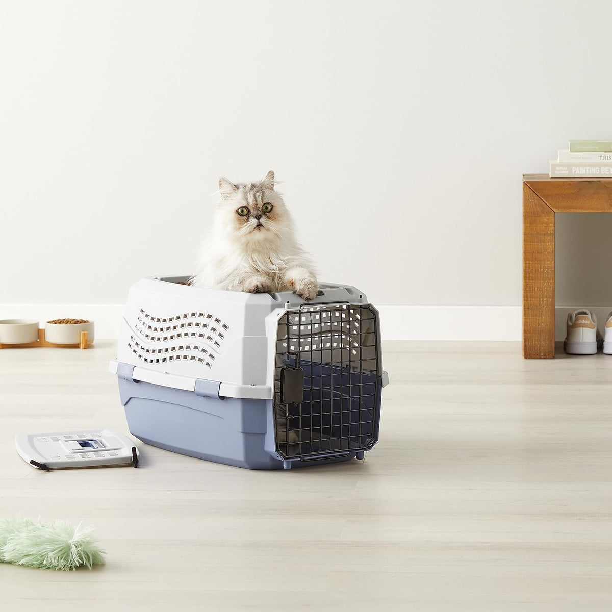 Hard-Sided Pet Carrier with Ventilation & Metal Door