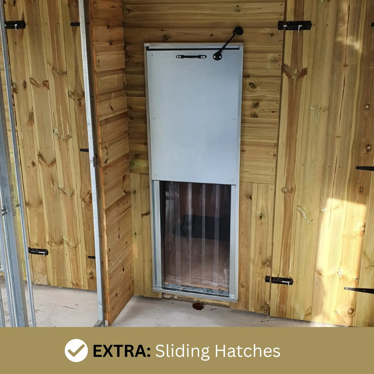 8ft x 4ft Outdoor Dog Kennel with Professional Installation