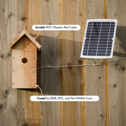 Solar Powered WiFi Bird Box Camera with Live Viewing