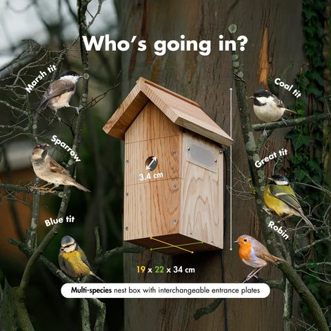 Solar Powered WiFi Bird Box Camera with Live Viewing